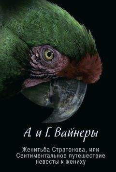 Читайте книги онлайн на Bookidrom.ru! Бесплатные книги в одном клике Аркадий Вайнер - Женитьба Стратонова, или Сентиментальное путешествие невесты к жениху (сборник)