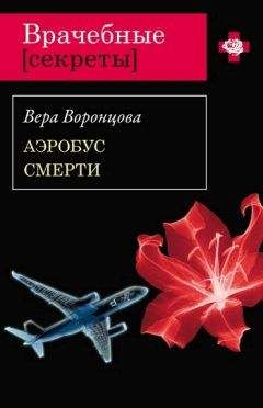 Читайте книги онлайн на Bookidrom.ru! Бесплатные книги в одном клике Вера Воронцова - Аэробус смерти