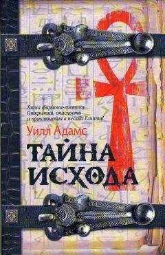 Читайте книги онлайн на Bookidrom.ru! Бесплатные книги в одном клике Уилл Адамс - Тайна исхода