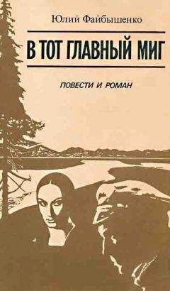 Читайте книги онлайн на Bookidrom.ru! Бесплатные книги в одном клике Юлий Файбышенко - В тот главный миг