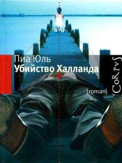 Читайте книги онлайн на Bookidrom.ru! Бесплатные книги в одном клике Пиа Юль - Убийство Халланда
