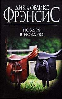 Читайте книги онлайн на Bookidrom.ru! Бесплатные книги в одном клике Дик & Феликс Фрэнсис - Ноздря в ноздрю