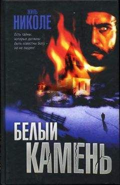 Читайте книги онлайн на Bookidrom.ru! Бесплатные книги в одном клике Жиль Николе - Белый камень