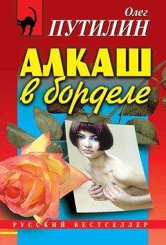 Читайте книги онлайн на Bookidrom.ru! Бесплатные книги в одном клике Олег Путилин - Алкаш в борделе
