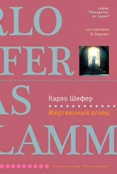 Читайте книги онлайн на Bookidrom.ru! Бесплатные книги в одном клике Карло Шефер - Жертвенный агнец