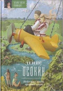 Читайте книги онлайн на Bookidrom.ru! Бесплатные книги в одном клике Денис Осокин - Осокин Д.С. Небесные жены луговых мари