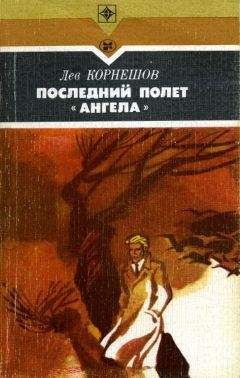 Читайте книги онлайн на Bookidrom.ru! Бесплатные книги в одном клике Лев Корнешов - Последний полет «Ангела»