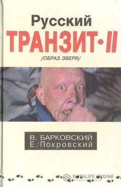 Читайте книги онлайн на Bookidrom.ru! Бесплатные книги в одном клике Вячеслав Барковский - Русский транзит 2