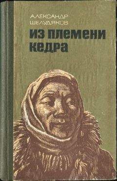 Читайте книги онлайн на Bookidrom.ru! Бесплатные книги в одном клике Александр Шелудяков - ИЗ ПЛЕМЕНИ КЕДРА