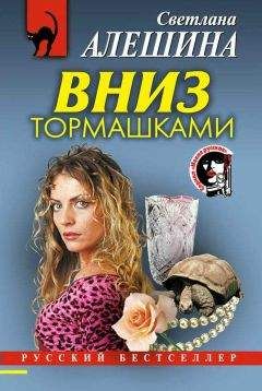 Читайте книги онлайн на Bookidrom.ru! Бесплатные книги в одном клике Светлана Алешина - Вниз тормашками