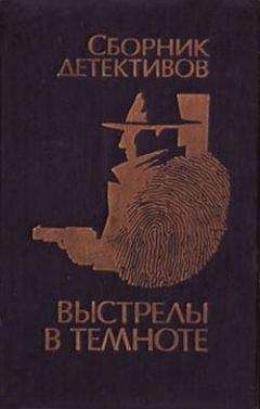 Читайте книги онлайн на Bookidrom.ru! Бесплатные книги в одном клике Владимир Савельев - Выстрелы в темноте