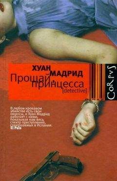 Читайте книги онлайн на Bookidrom.ru! Бесплатные книги в одном клике Хуан Мадрид - Прощай, принцесса