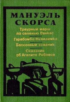 Читайте книги онлайн на Bookidrom.ru! Бесплатные книги в одном клике Мануэль Скорса - Гарабомбо-невидимка