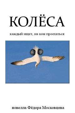 Читайте книги онлайн на Bookidrom.ru! Бесплатные книги в одном клике Федор Московцев - Колёса