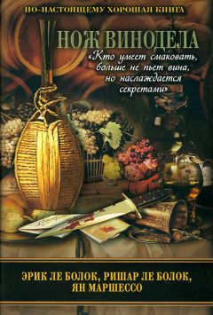 Читайте книги онлайн на Bookidrom.ru! Бесплатные книги в одном клике Эрик Ле Болок - Нож винодела