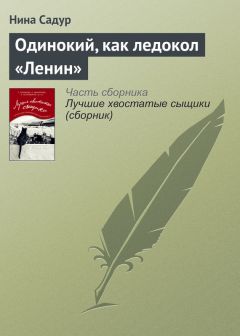 Читайте книги онлайн на Bookidrom.ru! Бесплатные книги в одном клике Нина Садур - Одинокий, как ледокол «Ленин»