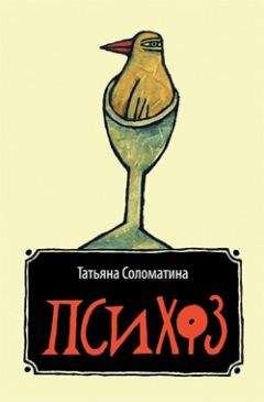 Читайте книги онлайн на Bookidrom.ru! Бесплатные книги в одном клике Татьяна Соломатина - Психоз