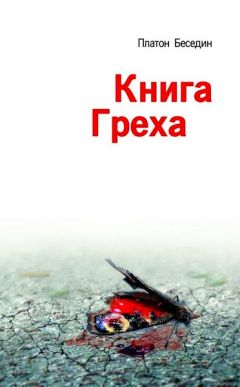 Читайте книги онлайн на Bookidrom.ru! Бесплатные книги в одном клике Платон Беседин - Книга Греха