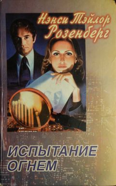 Читайте книги онлайн на Bookidrom.ru! Бесплатные книги в одном клике Нэнси Розенберг - Испытание огнем