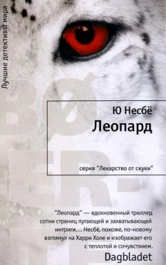 Читайте книги онлайн на Bookidrom.ru! Бесплатные книги в одном клике Ю Несбё - Леопард