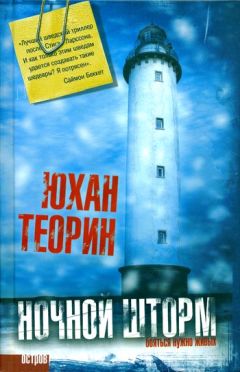 Читайте книги онлайн на Bookidrom.ru! Бесплатные книги в одном клике Юхан Теорин - Ночной шторм