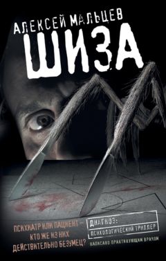 Читайте книги онлайн на Bookidrom.ru! Бесплатные книги в одном клике Алексей Мальцев - Шиза