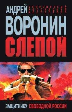 Читайте книги онлайн на Bookidrom.ru! Бесплатные книги в одном клике Андрей Воронин - Слепой. Защитнику свободной России