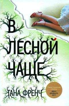 Читайте книги онлайн на Bookidrom.ru! Бесплатные книги в одном клике Тана Френч - В лесной чаще