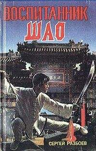 Читайте книги онлайн на Bookidrom.ru! Бесплатные книги в одном клике Сергей Разбоев - Воспитанник Шао.Том 1