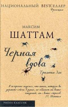 Читайте книги онлайн на Bookidrom.ru! Бесплатные книги в одном клике Максим Шаттам - Черная вдова. Шаттам