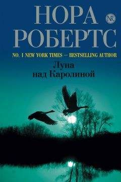 Читайте книги онлайн на Bookidrom.ru! Бесплатные книги в одном клике Нора Робертс - Луна над Каролиной