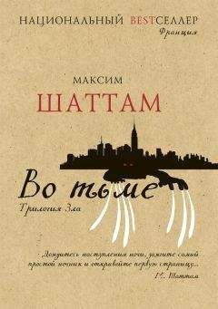 Читайте книги онлайн на Bookidrom.ru! Бесплатные книги в одном клике Максим Шаттам - Во тьме