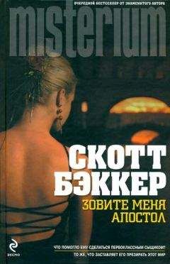 Читайте книги онлайн на Bookidrom.ru! Бесплатные книги в одном клике Р Скотт Бэккер - Зовите меня Апостол