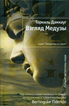 Читайте книги онлайн на Bookidrom.ru! Бесплатные книги в одном клике Торкиль Дамхауг - Взгляд Медузы