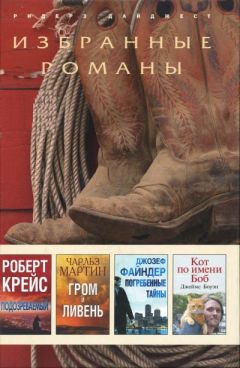 Читайте книги онлайн на Bookidrom.ru! Бесплатные книги в одном клике Джозеф Файндер - Погребенные тайны (в сокращении)