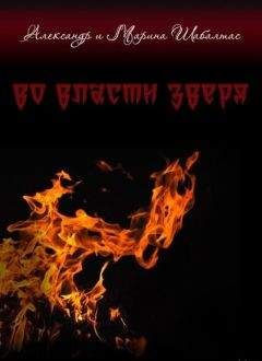 Читайте книги онлайн на Bookidrom.ru! Бесплатные книги в одном клике Александр Шабалтас - Во власти Зверя