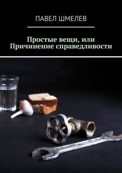 Читайте книги онлайн на Bookidrom.ru! Бесплатные книги в одном клике Павел Шмелев - Простые вещи, или Причинение справедливости