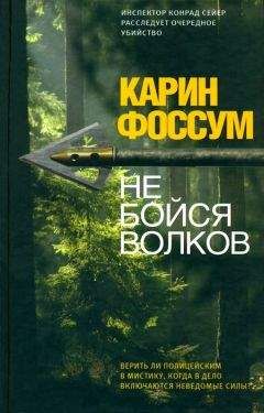 Читайте книги онлайн на Bookidrom.ru! Бесплатные книги в одном клике Карин Фоссум - Не бойся волков