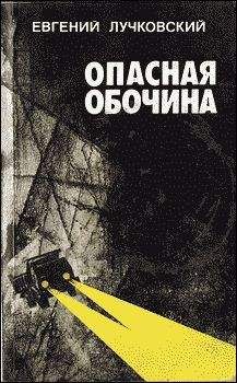 Читайте книги онлайн на Bookidrom.ru! Бесплатные книги в одном клике Евгений Лучковский - Опасная обочина