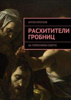 Читайте книги онлайн на Bookidrom.ru! Бесплатные книги в одном клике Антон Кротков - Расхитители гробниц