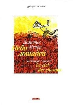 Читайте книги онлайн на Bookidrom.ru! Бесплатные книги в одном клике Доминик Менар - Небо лошадей