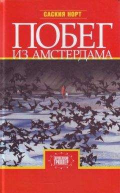 Читайте книги онлайн на Bookidrom.ru! Бесплатные книги в одном клике Саския Норт - Побег из Амстердама