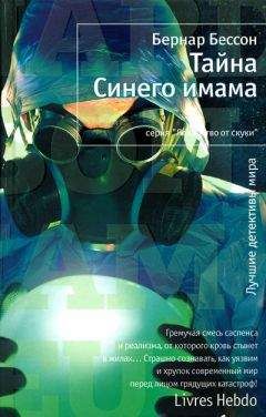 Читайте книги онлайн на Bookidrom.ru! Бесплатные книги в одном клике Бернар Бессон - Тайна Синего имама