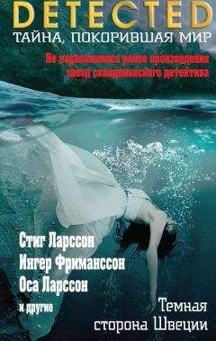 Читайте книги онлайн на Bookidrom.ru! Бесплатные книги в одном клике Рольф Бёрлинд - Темная сторона Швеции (сборник)