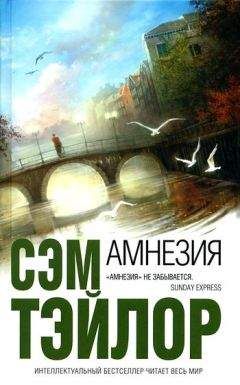 Читайте книги онлайн на Bookidrom.ru! Бесплатные книги в одном клике Сэм Тэйлор - Амнезия