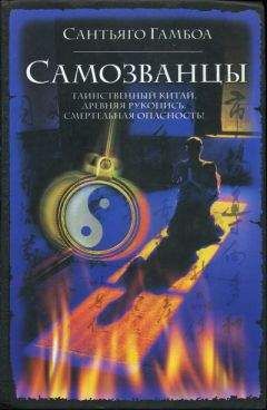Читайте книги онлайн на Bookidrom.ru! Бесплатные книги в одном клике Сантьяго Гамбоа - Самозванцы