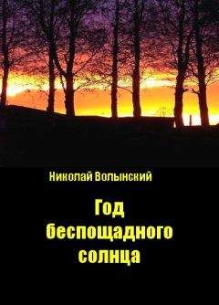 Читайте книги онлайн на Bookidrom.ru! Бесплатные книги в одном клике Николай Волынский - Год беспощадного солнца