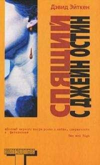 Читайте книги онлайн на Bookidrom.ru! Бесплатные книги в одном клике Дэвид Эйткен - Спящий с Джейн Остин