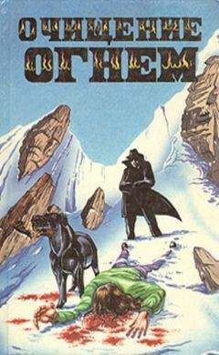 Читайте книги онлайн на Bookidrom.ru! Бесплатные книги в одном клике Поль Андреота - Очищение огнем (тематическая антология)