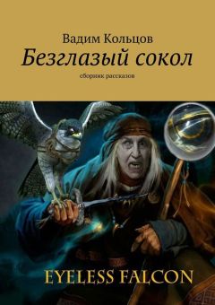 Читайте книги онлайн на Bookidrom.ru! Бесплатные книги в одном клике Вадим Кольцов - Безглазый сокол. сборник рассказов